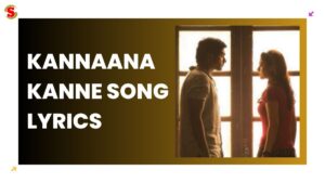 Kannaana Kanne Song Lyrics in Naanum Rowdy Dhaan