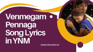 Venmegam Pennaga Song Lyrics in YNM